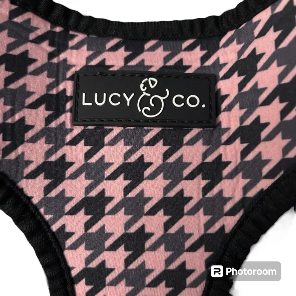 Lucy & Co lucy co